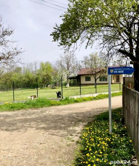 3700 mp Budesti-Piscul Pietrei - 3