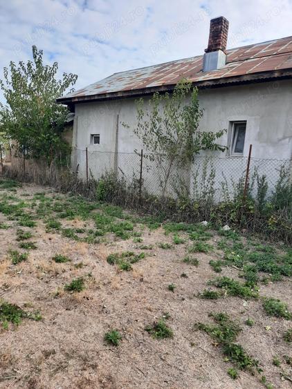 Vind casa si teren in Colacu Dimbovita - 4