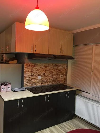 De inchiriat apartament cu o camera in zona Buziasului - 2