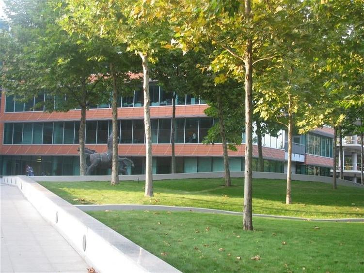 Inchiriere Birouri - Bucharest Business Park de la 233 mp - 4