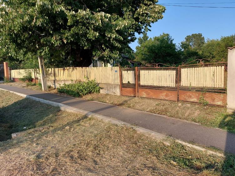 Teren intravilan DN72 /deschidere 29ml ideal business/ investitie - 5