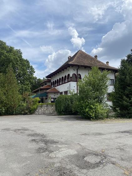 De vanzare - inchiriere Unitate -Conac cu pozitie de Exceptie - 8