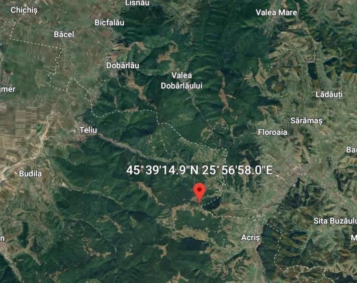 Teren - padure Teliu - Bradet - 1