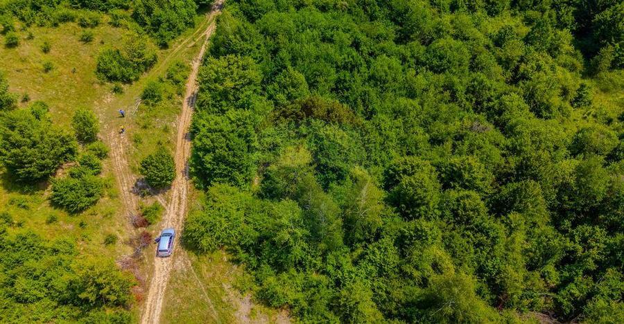 COMISION 0% Teren Grid/Inima Naturii/ Oportunitate de inv... - 10