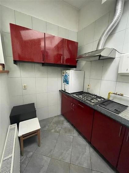 Parcul Circului, vila P+M, contructie 2001,6 camere, pretabil birou - 9