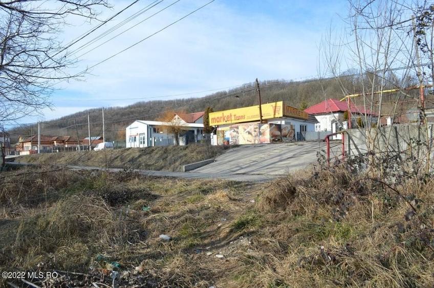 Valea Ursului - DN 7, Teren Stradal 2744 mp! - 2