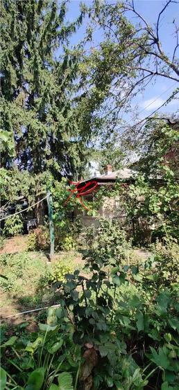 Vanzare teren Colentina - Moroeni - 7