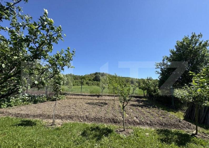 Casa plan parter cu 4 camere, 160 mp si 13000 mp teren, zona - 20