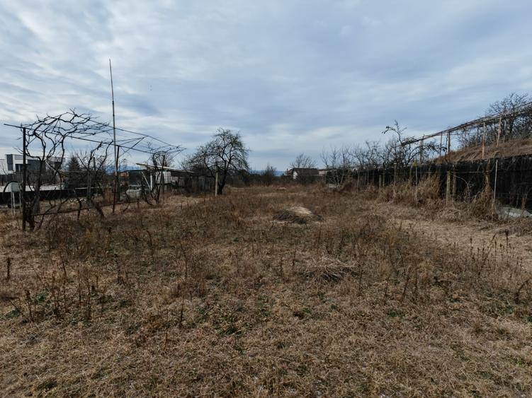 Teren constructii langa oras, Letea-Veche - 3