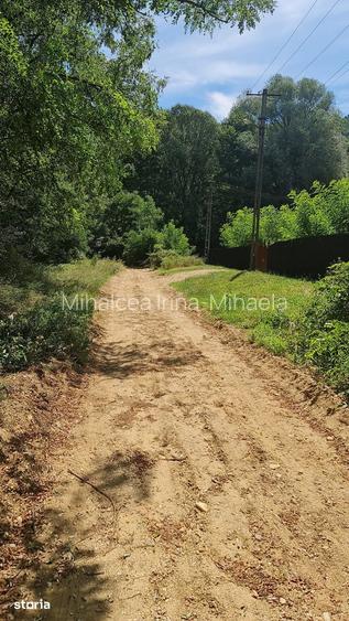 TEREN INTRAVILAN||Sat Fedelesoiu, Com. Ciomagesti