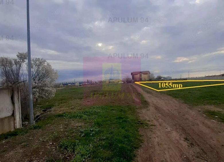 Teren de 1055 mp, în Berceni