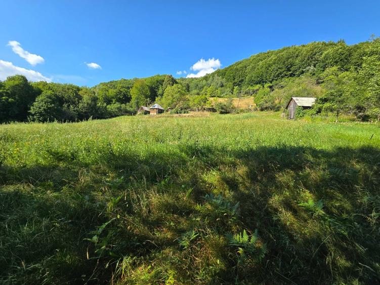 Teren de 105000 mp, în Telciu