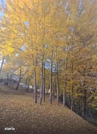 Teren de 3600 mp, în Central
