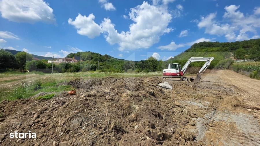 Teren de 3500 mp, în Viișoara