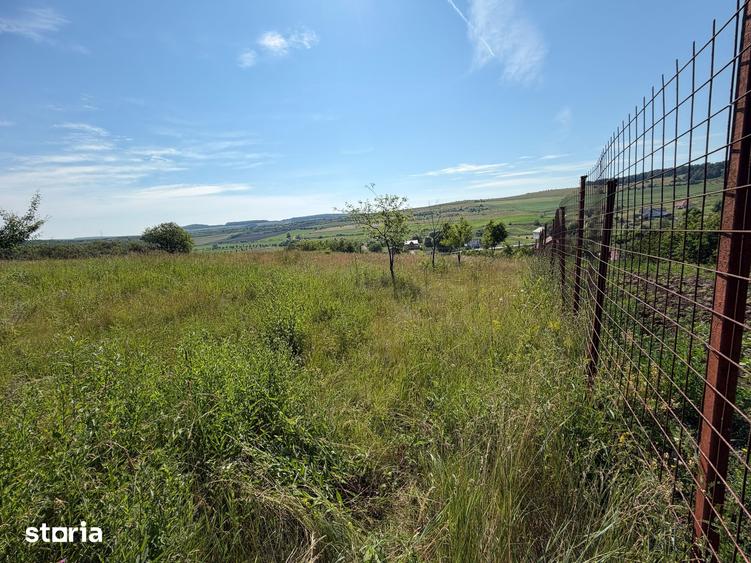 Teren de 3834 mp, în Vultureni