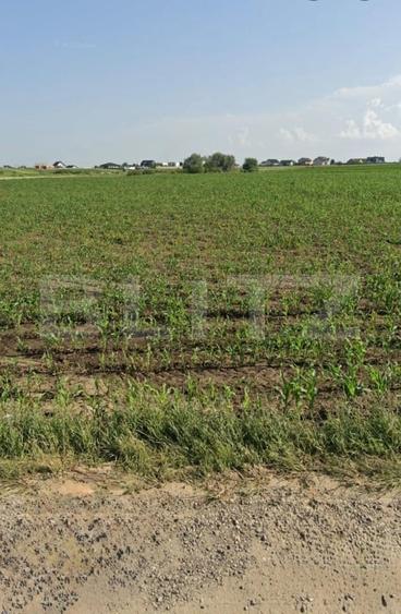 Teren agricol extravilan de 6100 mp, în Periferie