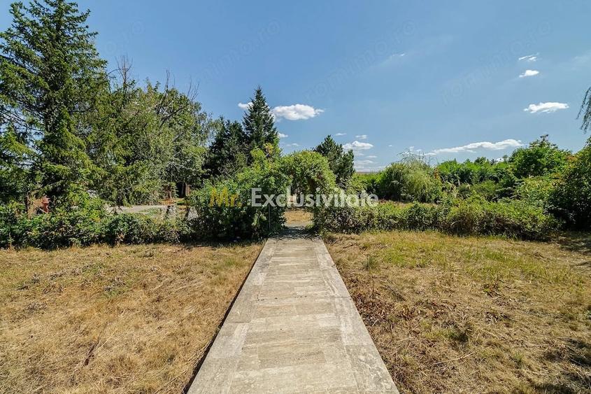 Casă cu Teren 5000 Mp în Corbeanca