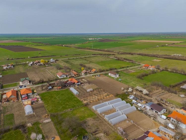 Teren  intravilan in loc Galsa - 6