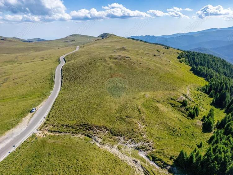 Teren intravilan Transbucegi / Oportunitate de dezvoltare Transbucegi - 6