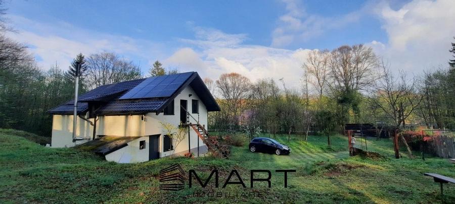 Cabana 4 camere zona Valea Avrigului - 2