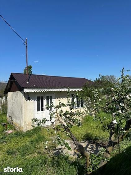 Vand loc de casa - 7