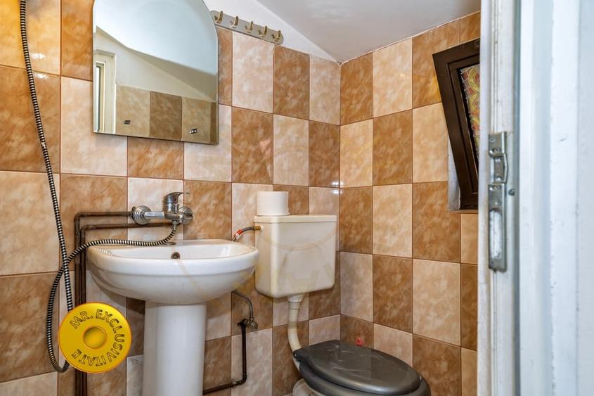 Doua case in aceeasi curte Pitesti, Strada Turcesti - 10