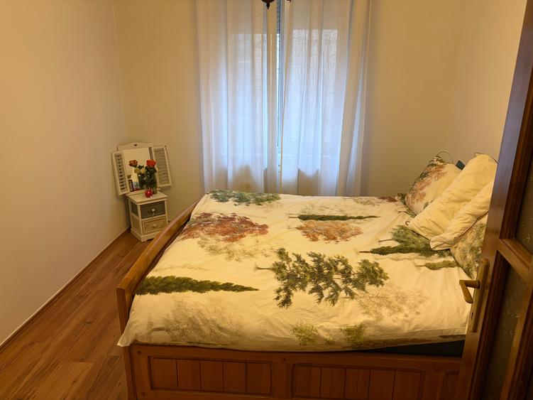 Floreasca, Puccini, apartament 2 camere, mobilat si utilat, imobil reabilitat, - 3