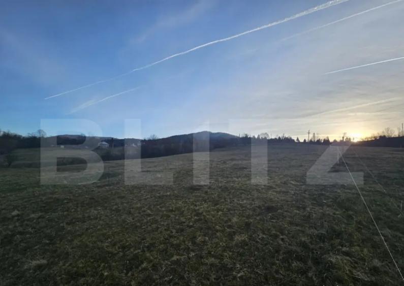 Teren intravilan de 16667 mp, Sosea de Centura, Abrud - 2