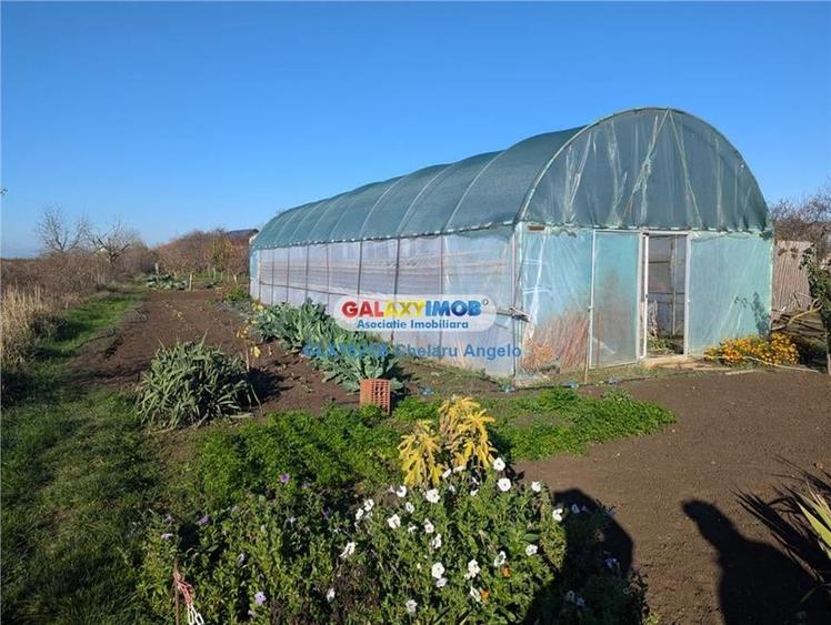 Adunatii Copaceni vila P+1 ,5 camere,suprafata 165 mp, teren 1300 mp - 25