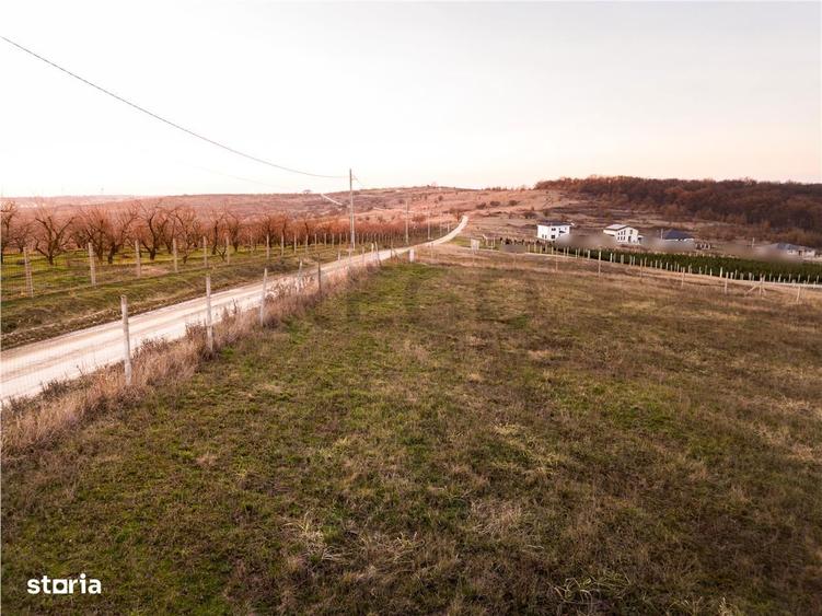 RECO Teren intravilan in Saldabagiu de Munte - 6