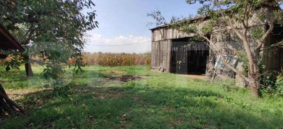 Casa mare cu gospodarie completa Belin?, jude?ul Timi? teren 4.900 mp - 14