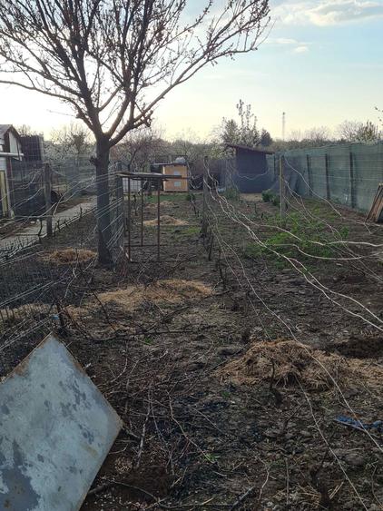 Vand vie cu anexe construite - 8