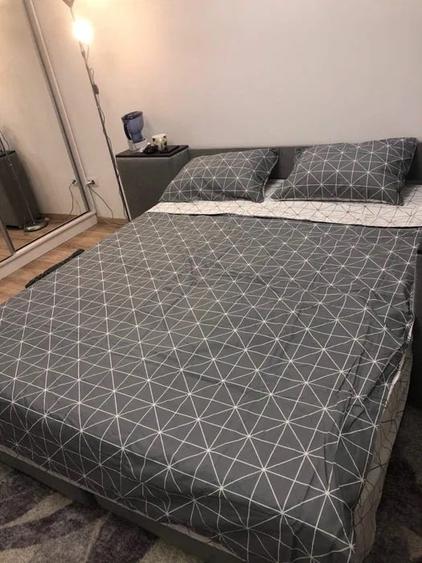 Apartament cu 1 camera, decomandat, etajul 1/5, zona Tatarasi - 3