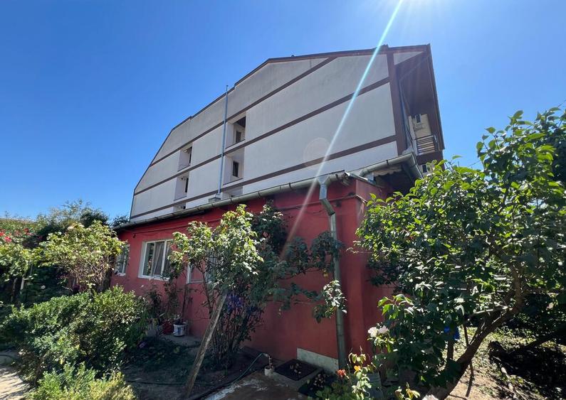 Teren str Renasterii Chitila - 11