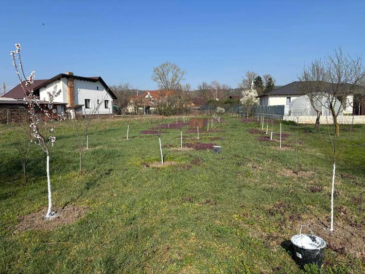 Casuta cu teren mare in Fughiu - 1