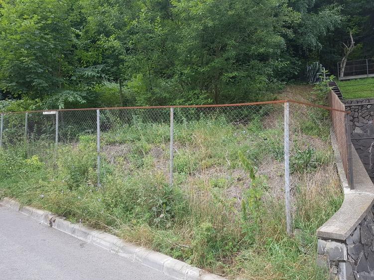 Oportunitate investiție / Teren 465 mp disponibil in Sinaia - 2