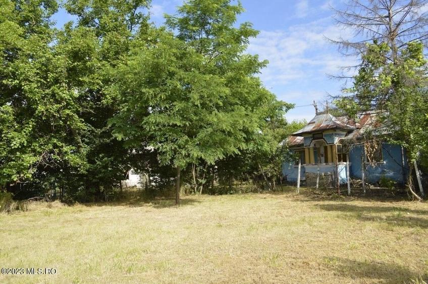 Suseni - Teren intravilan cu casa batraneasca, plan, suprafata 4700 mp! - 7