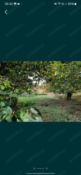 Vand casa si teren sat poiana schitu duca iasi - 1