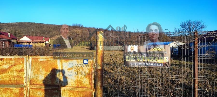 Teren intravilan 3129 mp | Deschidere 28 ml / Lespezi – Homoc - 1