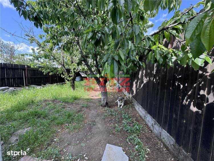 NOU! Casa parter, S=40 mp,teren 378 mp, Clocociov! - 7