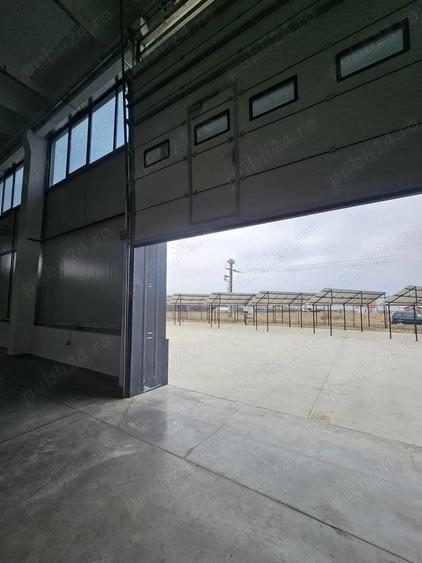 Hala de inchiriat in Curtea de Arge?. - 7