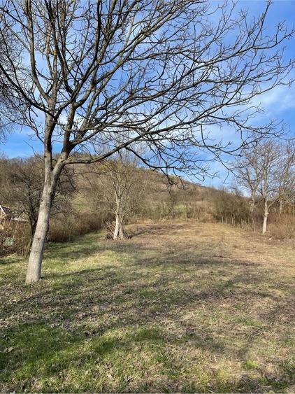 Casa de vanzare in Troi?a - 4