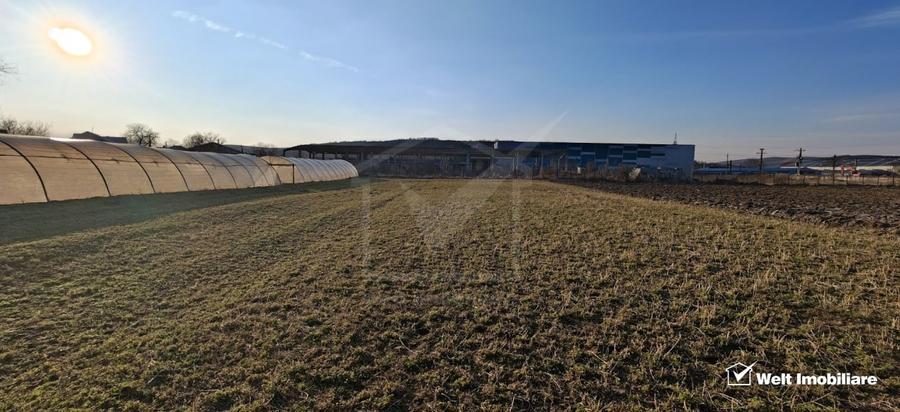 Teren industrial 3500mp, Apahida - 1