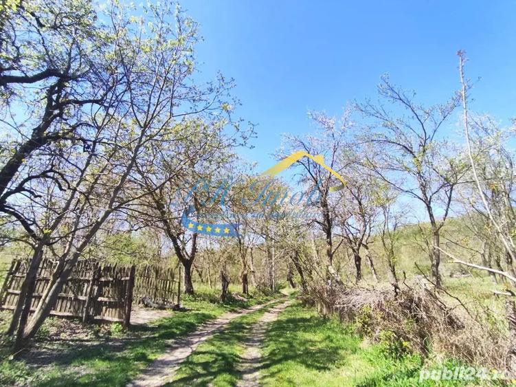 casa cu teren Gornet-Cricov PH - 2