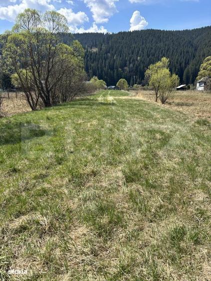 Teren intravilan, 2107 mp, str. Argestru, Vatra Dornei - 4