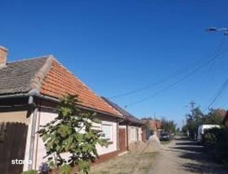 Cota 1/ 2 din casa si teren-loc. Pecica, jud. Arad - 7