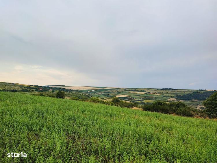 Teren 1050 mp Dealul Fanatelor/ investitie - 2