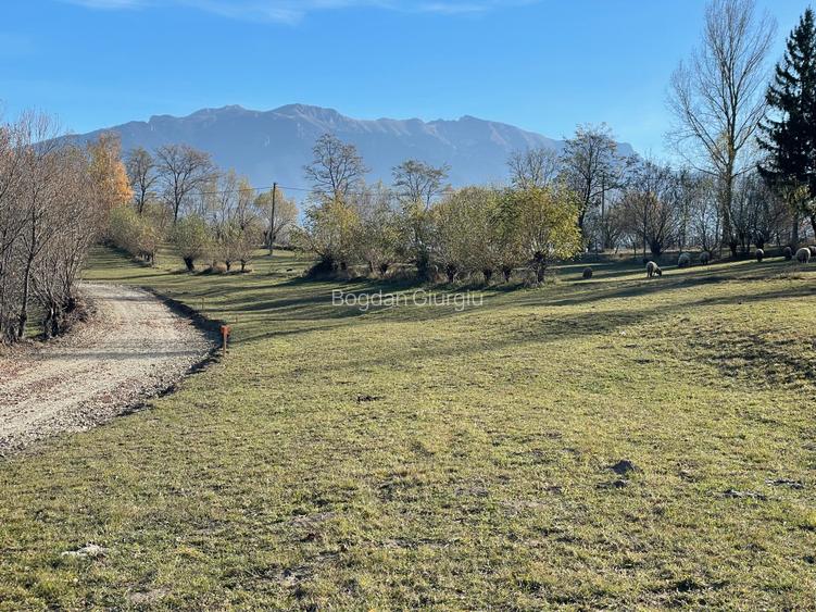 Teren intravilan loturi intre 500 si 1000 m, la 5 km de Moieciu