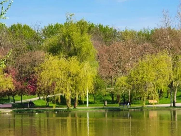 Garsoniera investitie Titan - 7