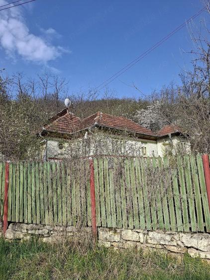 Teren cu salcami si faneata - 3